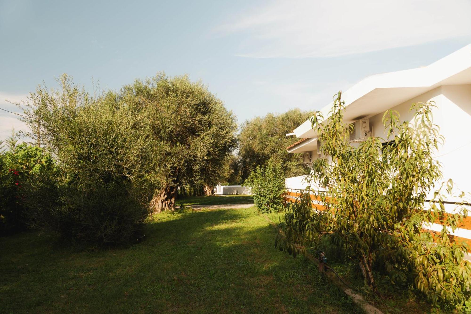 Olive Grove Suites Boutique Hotel Мораїтика Екстер'єр фото